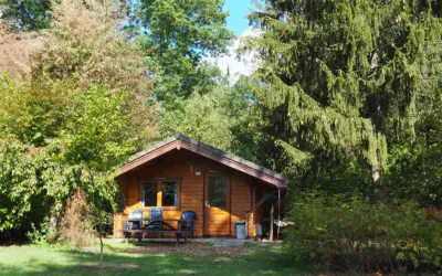 Asset 1 523697 w1200 crop